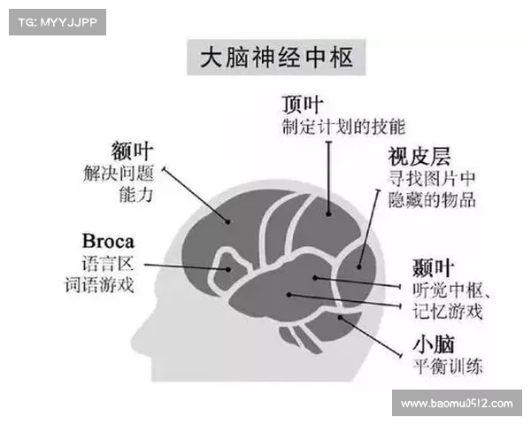 夜精灵文化的荣耀与神秘:探索7个你必须了解的重要事实 夜精灵文化的荣耀与神秘:探索7个你必须了解的重要事实
