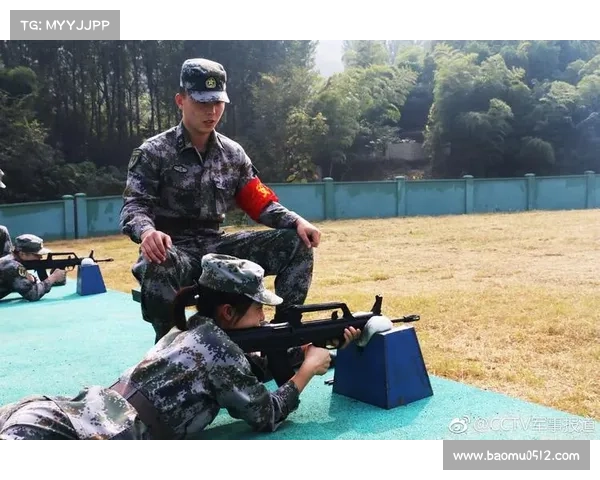 遵循五个步骤全面保障武器安全使用与责任落实的实践与监督指南 遵循五个步骤全面保障武器安全使用与责任落实的实践与监督指南